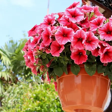 Apartments Garden Rovinj Exterior photo